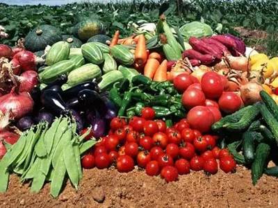 6月起廣州新政重磅來襲 房市調控與農產品安全雙管齊下，與你息息相關！