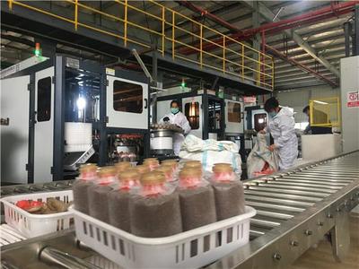 不負春光抓防疫保生產，關嶺食用菌產業馬力全開