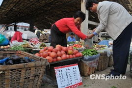 市場監測顯示 食用農產品價格總體平穩，生產資料價格呈上行態勢