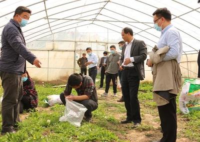 中牟縣試行食用農產品合格證制度 守護舌尖安全，推動產業升級