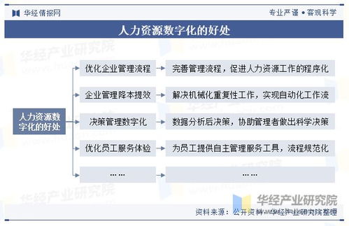 中國人力資源數(shù)字化行業(yè)現(xiàn)狀 HR SaaS風(fēng)頭日盛