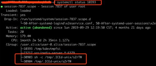 記一次挖礦病毒應(yīng)急處置全過(guò)程